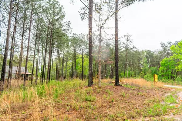 Counce, TN 38326-000,20 DOODLE CV