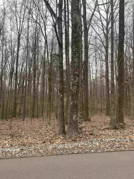 LOT 257 WOODLAND LAKE DR, Eudora, MS 38632