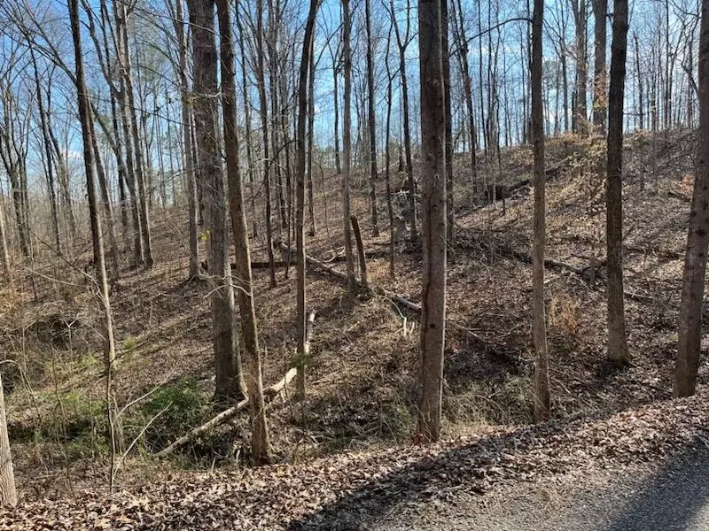 LOT 57 SPRINGBROOK DR, Counce, TN 38326