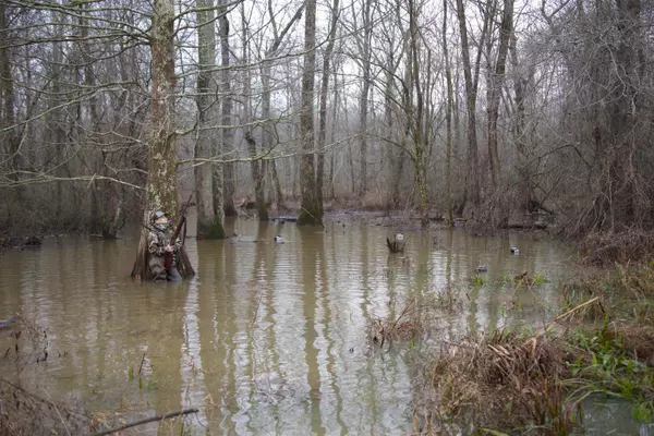 4891 ESTANAULA RD, Brownsville, TN 38012