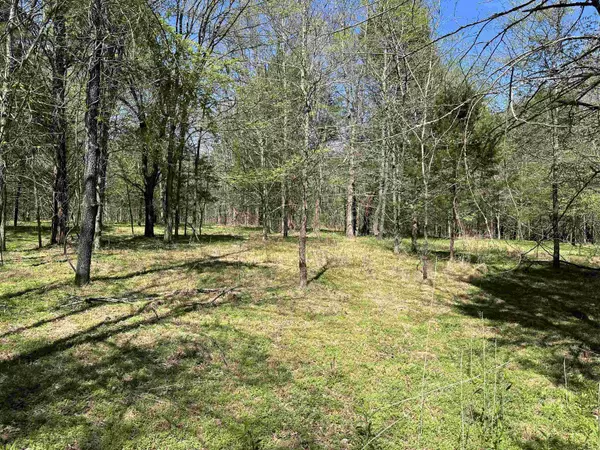 26.7 AC JONES CHAPEL DR, Williston, TN 38076