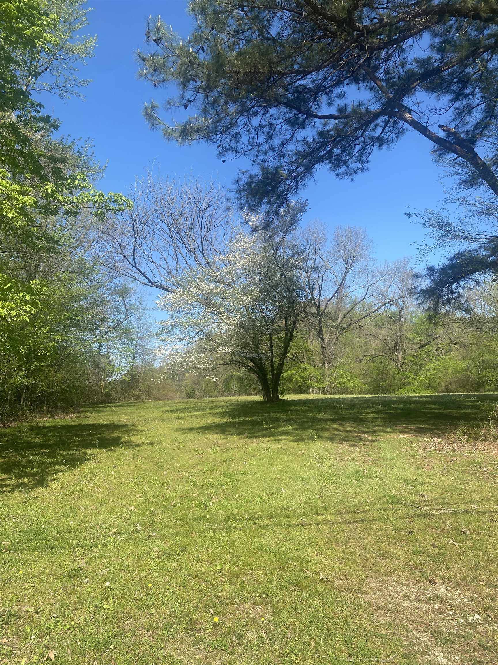 8285 BRUNSWICK RD, Unincorporated, TN 38053