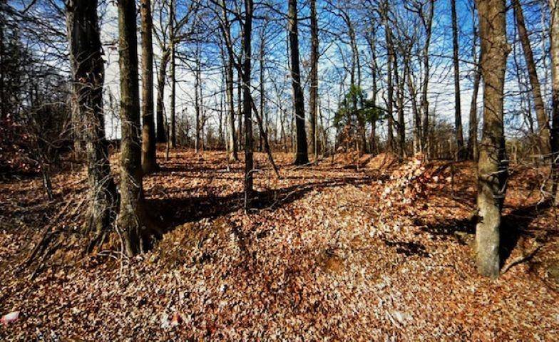 3273 S GILL RD, Memphis, TN 38109