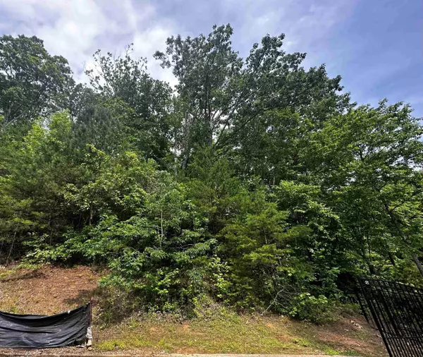 Savannah, TN 38372,LOT 40 HIGH POINTE DR