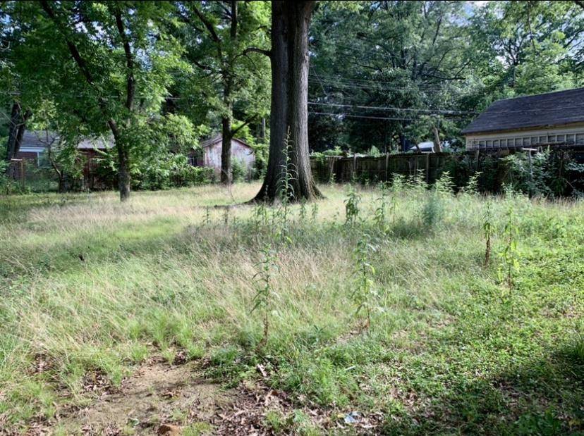 Memphis, TN 38111,3741 RHODES AVE