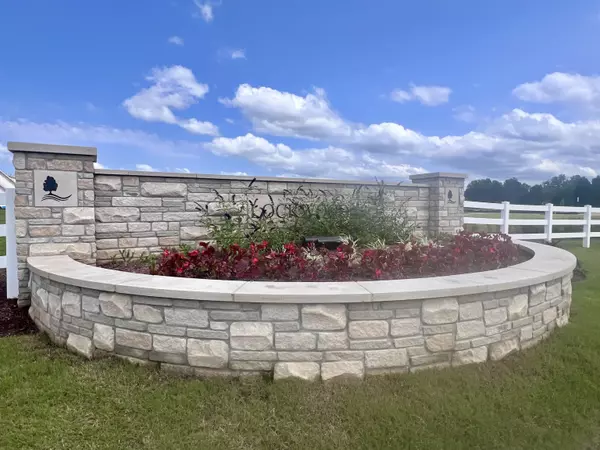 Collierville, TN 38017,10242 LOUANNE DR