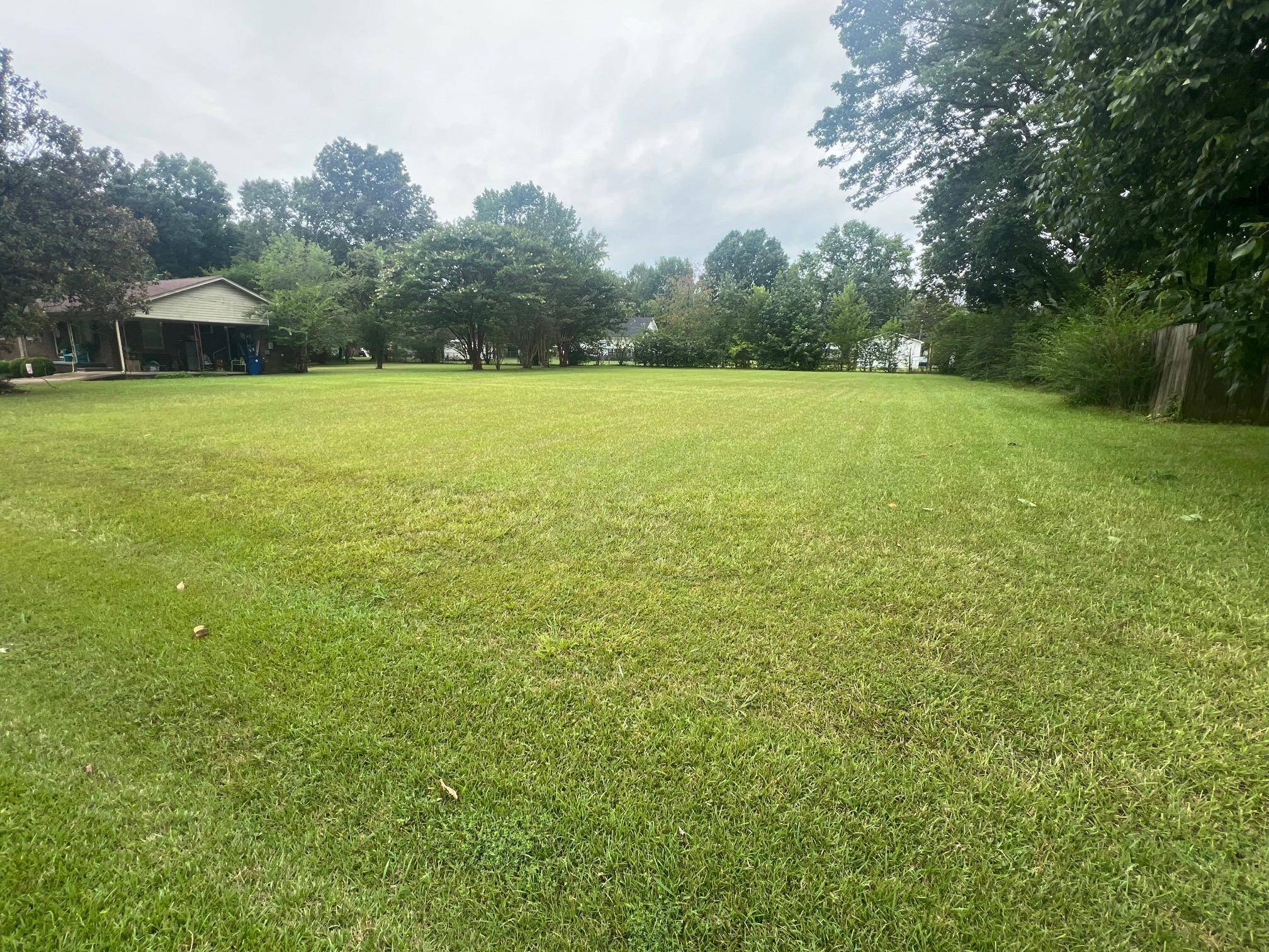 Savannah, TN 38372,LOT 30 MEADOW LN