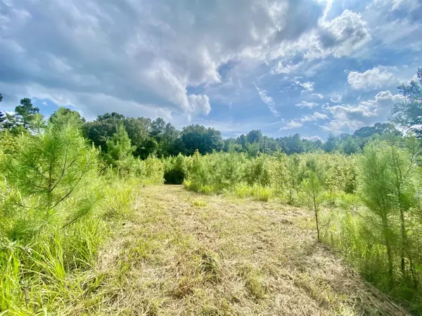 Williston, TN 38076,41.15 ACRES ALLEN RD