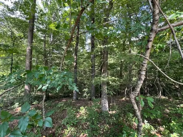 Bolivar, TN 38008,SHELBY LN