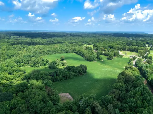 Drummonds, TN 38023,LOT 4 DOLAN RD