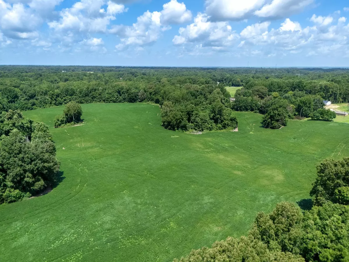 Drummonds, TN 38023,LOT 4 DOLAN RD