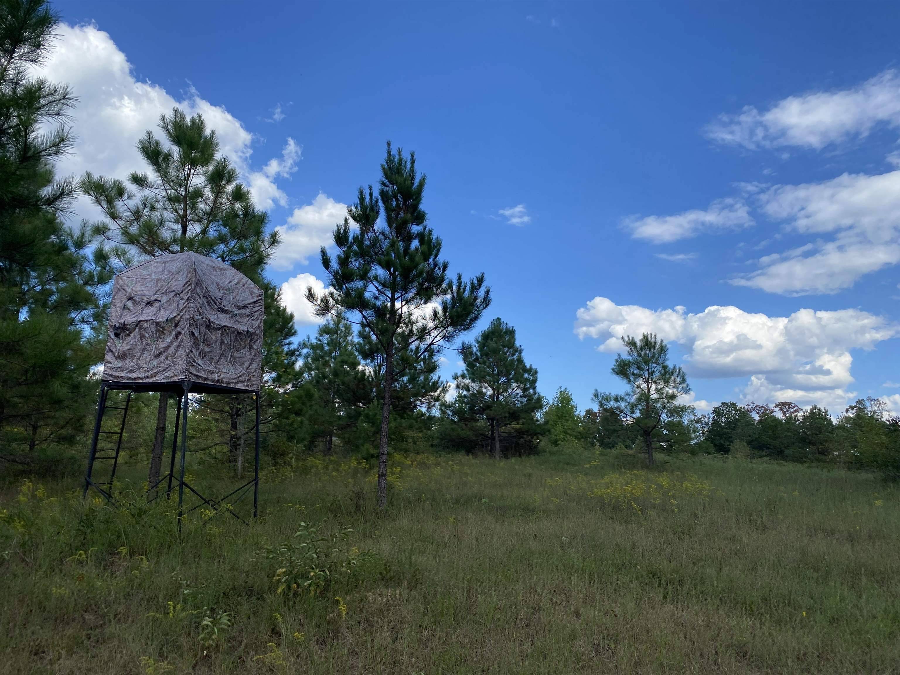 0 SIMMONS BRANCH RD, Waynesboro, TN 38485