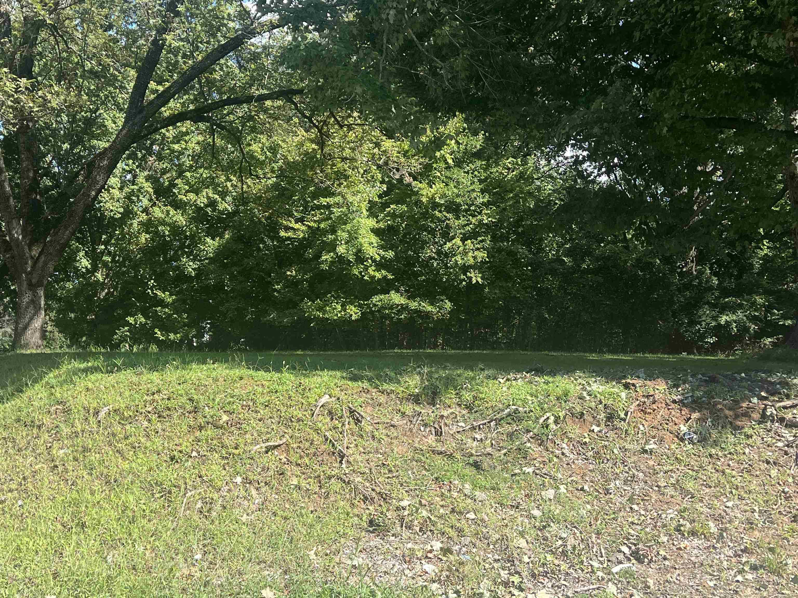 000 HIGHLAND ST, Ripley, TN 38063