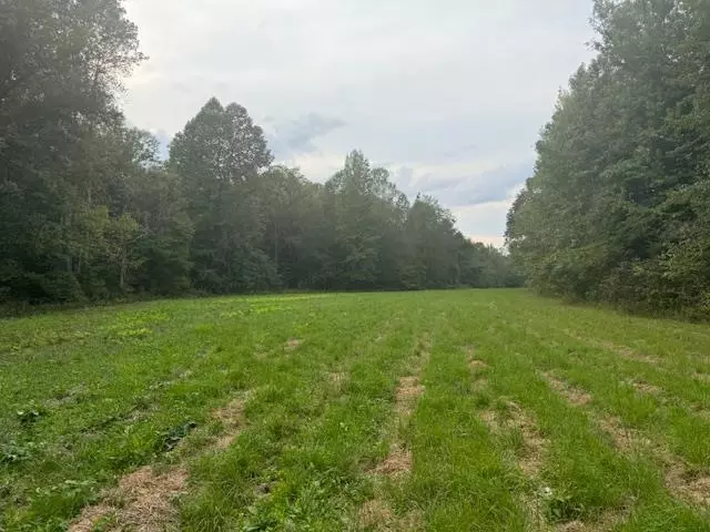 100 HWY, Medon, TN 38356