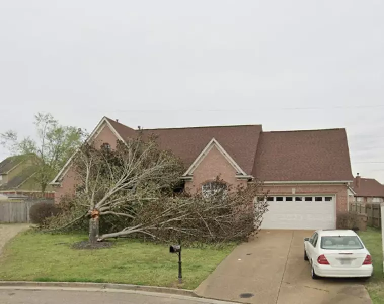 1626 BLACKALDER CV, Cordova, TN 38016