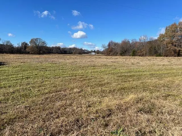 LOT 10 BRAMMER RD, Mason, TN 38049