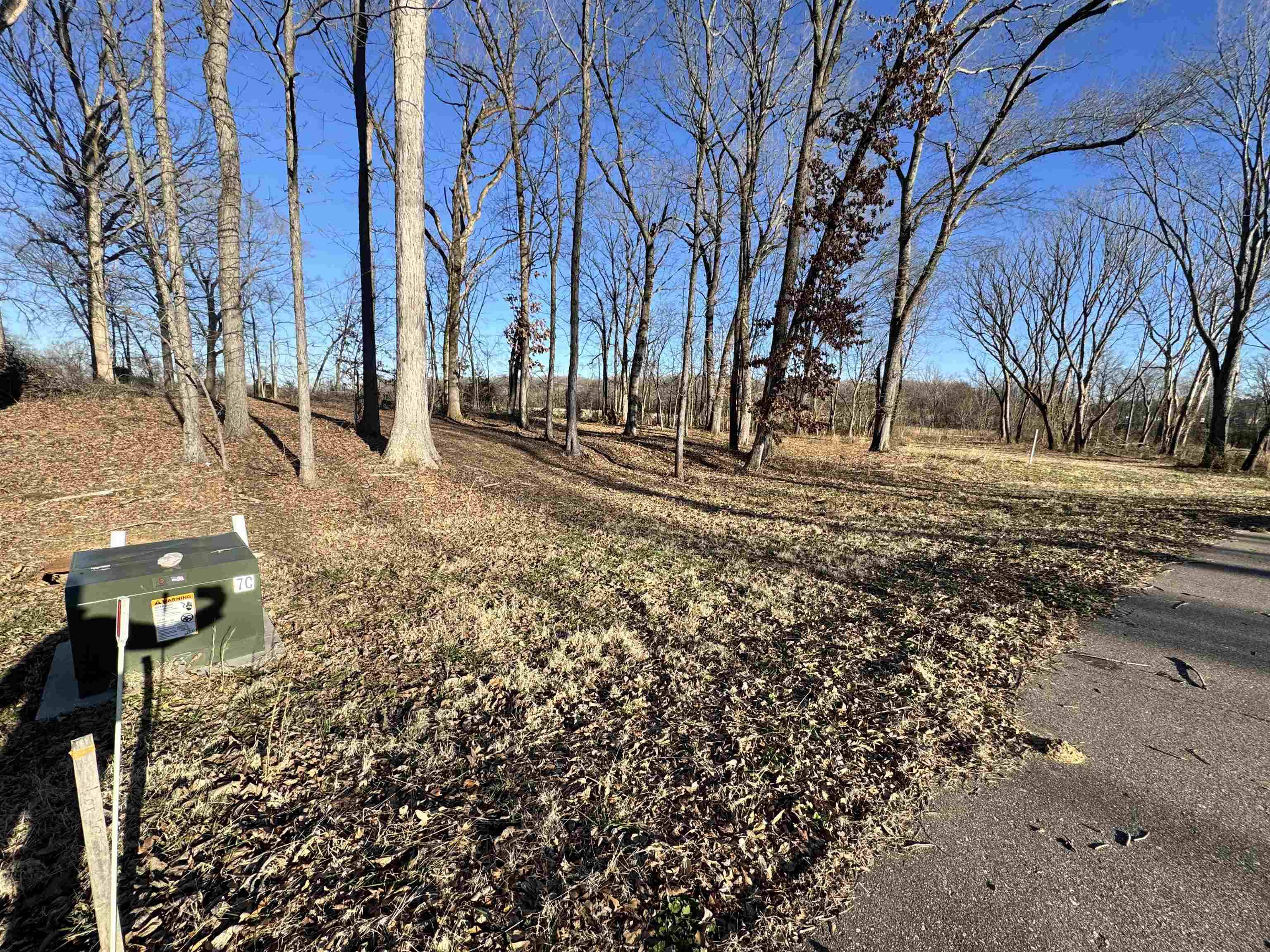 Piperton, TN 38017,85 CROWN VISTA LN