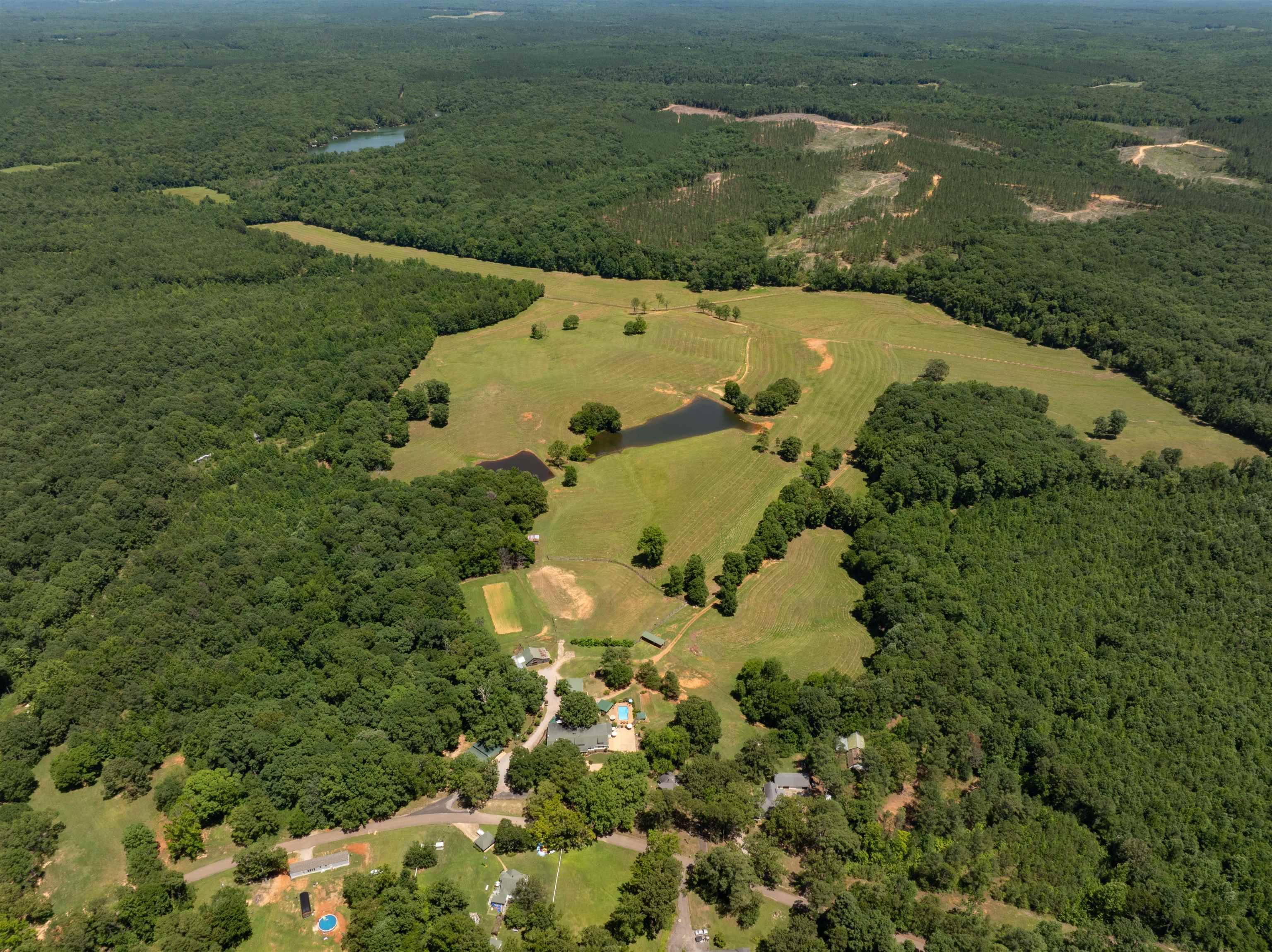 155 CARLINS RD, Hornsby, TN 38044