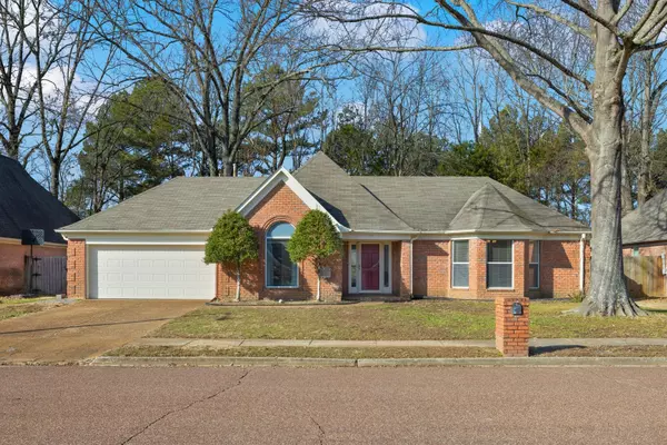 Collierville, TN 38017,917 WILDBIRD CV