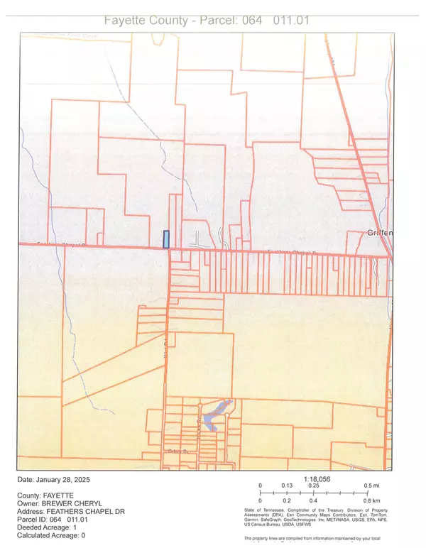 Unincorporated, TN 38060-0000,FEATHERS CHAPEL DR