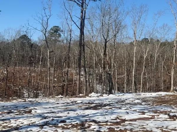 Henderson, TN 38340,TRACT 1 STATE ROUTE 225 RD