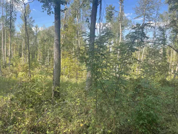 Morris Chapel, TN 38361,0 CHALK RD