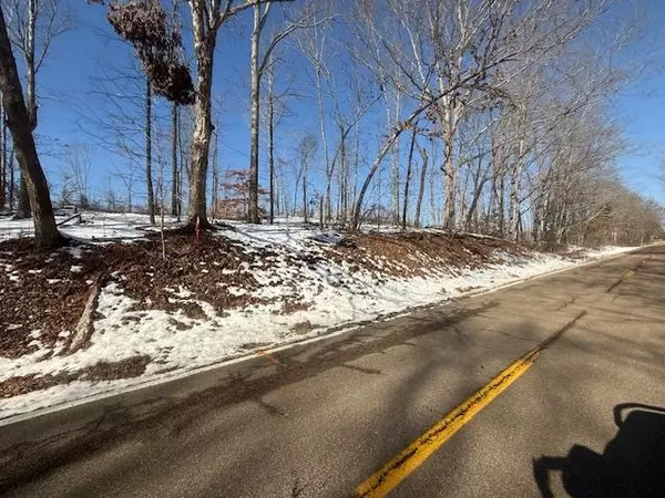 TRACT 4 STATE ROUTE 225 RD, Henderson, TN 38340