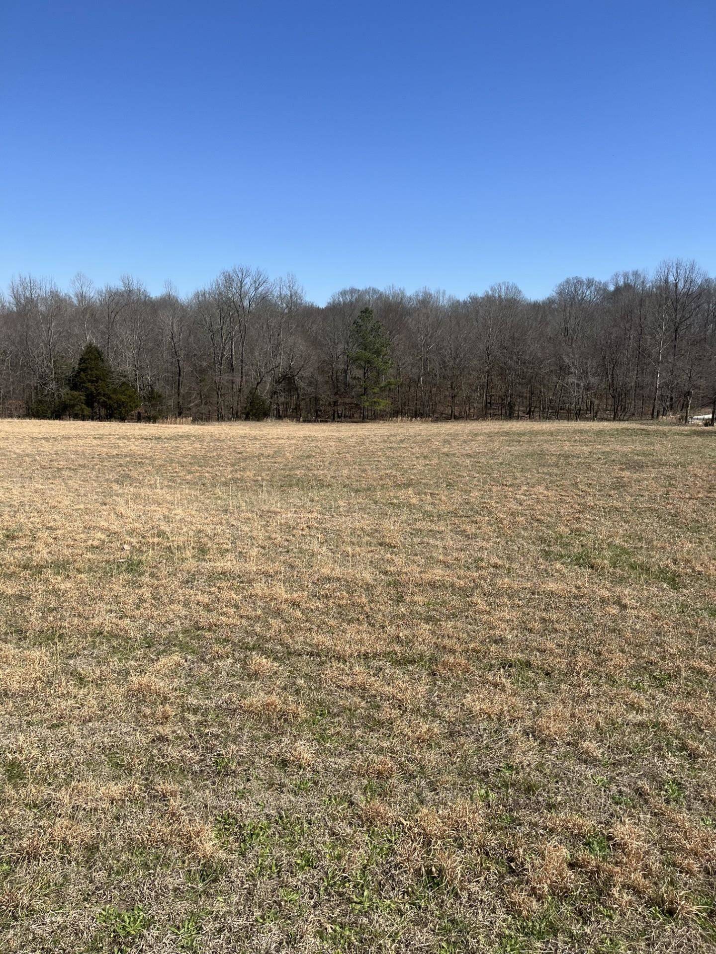 0 BRUCE RD N, Whiteville, TN 38075