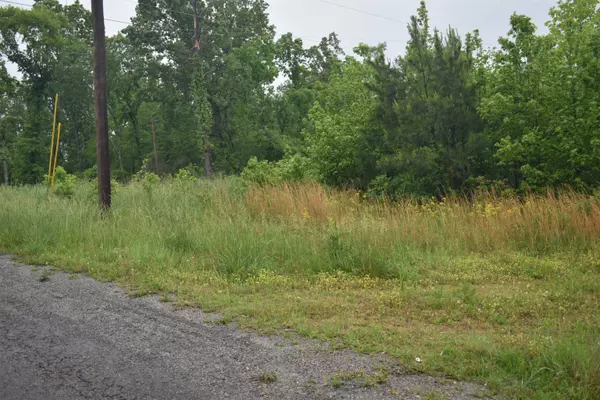 Bethel Springs, TN 38315,00 FLOWERS LN