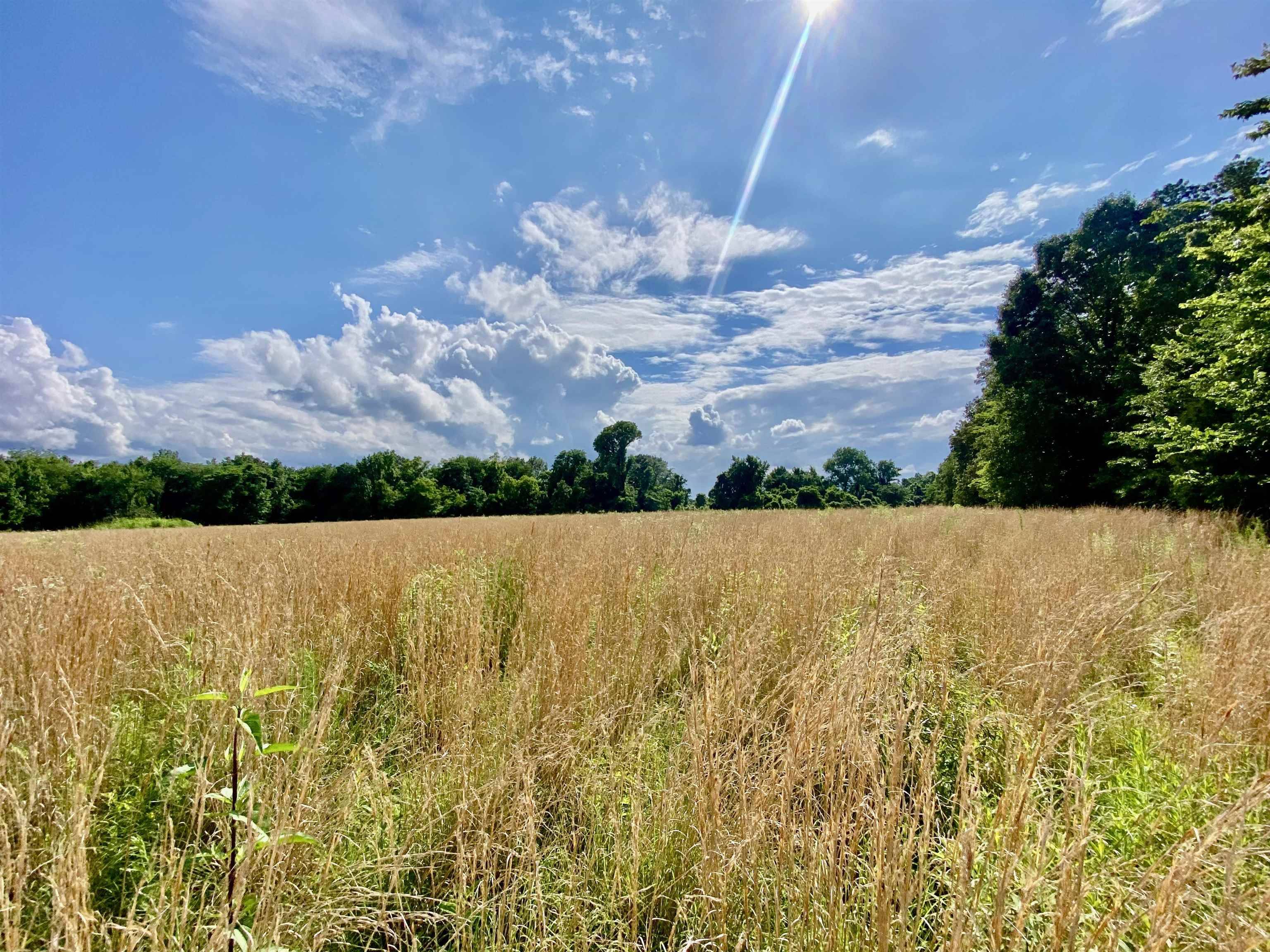 6.36 AC FERTILE VALLEY RD, Unincorporated, TN 38068