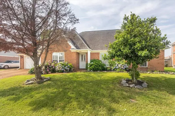 Olive Branch, MS 38654,6123 ENGLISH IVY DR N