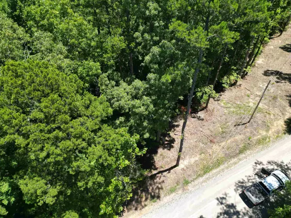 Pocahontas, TN 38061,75 LILLY TAYLOR RD