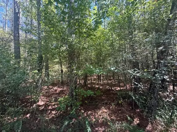 Michie, TN 38357,1 TRACK 1 KENDRICK RD