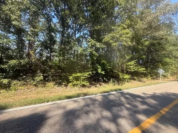 Bethel Springs, TN 38340,TRACT 6 SR 225 HWY