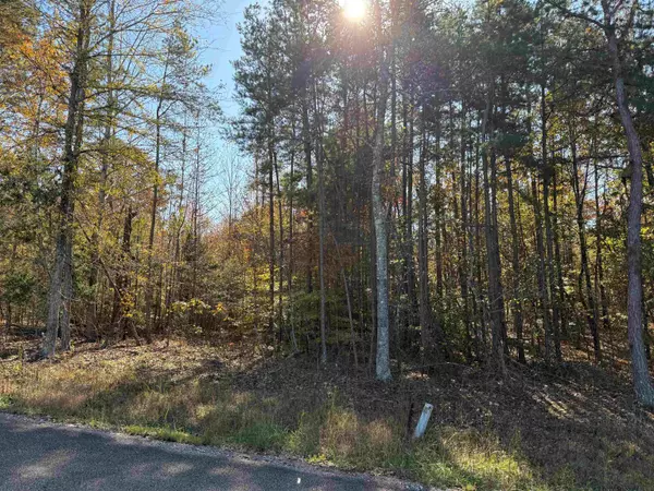 Savannah, TN 38372,3 WOODS CLIFF LN