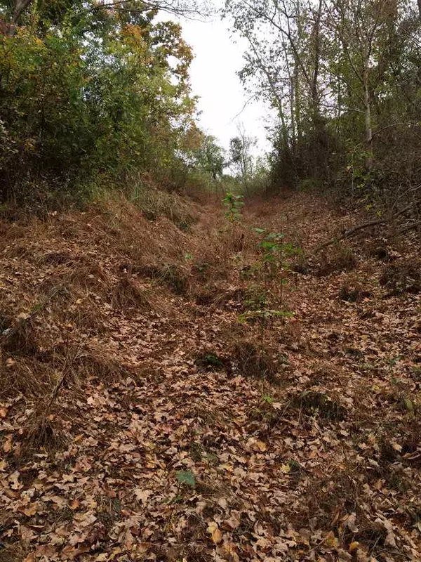 HERRING HILL N RD N, Drummonds, TN 38023