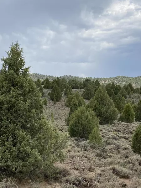 Uintah DR #E-26, Alton, UT 84710