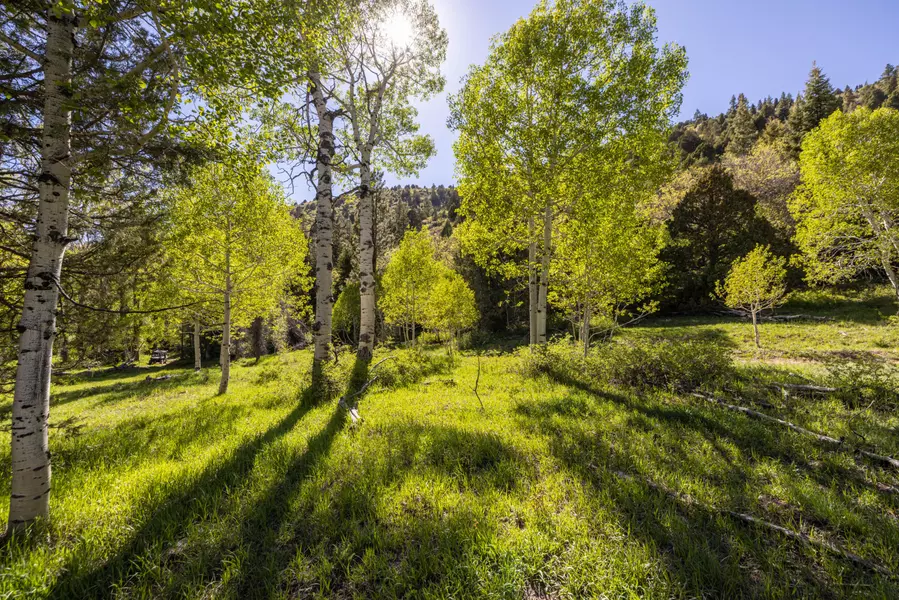 10 Hay Canyon Road, Duck Creek, UT 84762