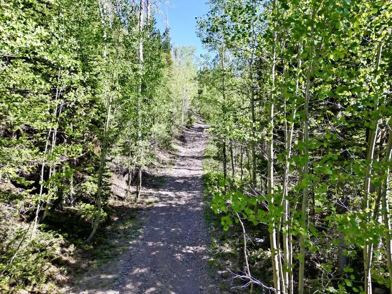 402 N Forest DR, Brian Head, UT 84719