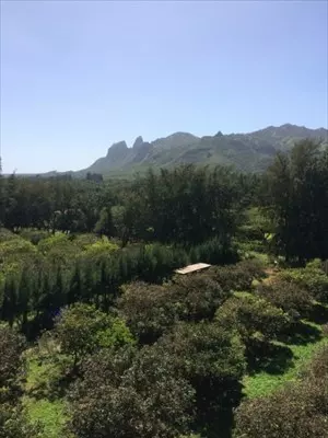 6020 KOOLAU RD #84, Anahola, HI 96703