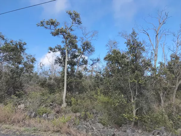 Ocean View, HI 96737,Reef Parkway