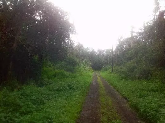 Pahoa, HI 96778,MAUNA KEA RD