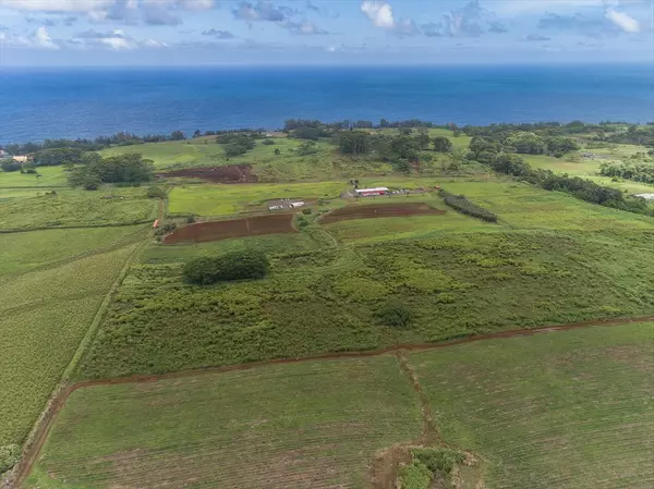 28-475 Sugar Mill Road, Pepeekeo, HI 96783