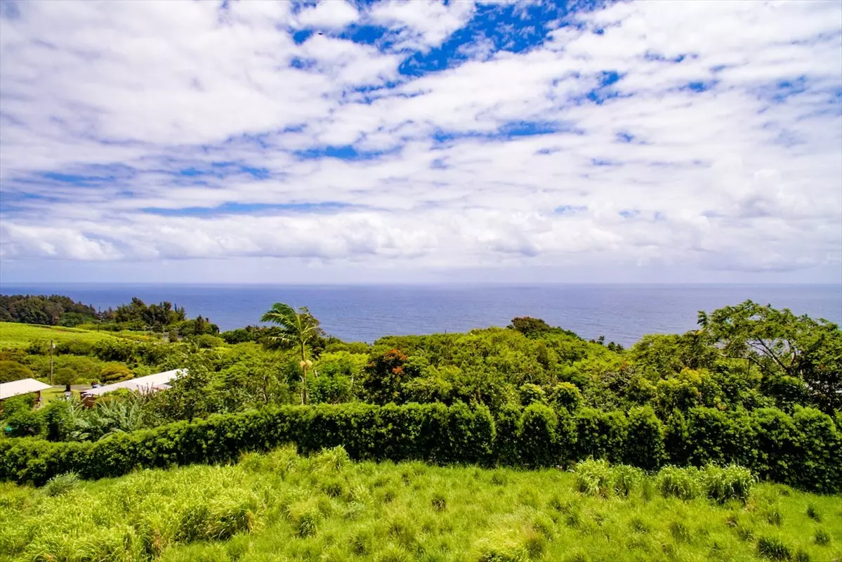 Laupahoehoe, HI 96764,36-3331 KUWILI LANI PLACE