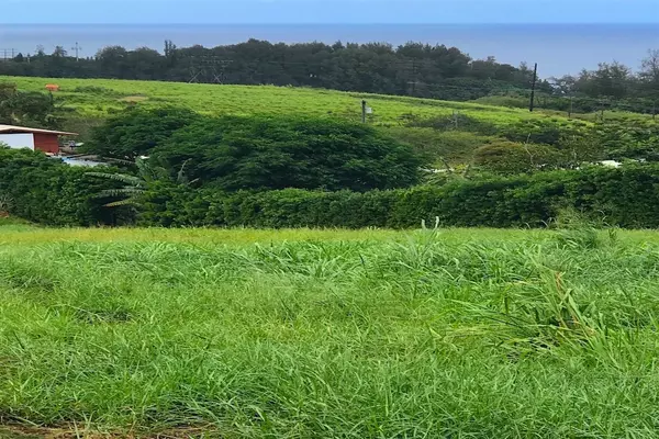 Laupahoehoe, HI 96764,36-3331 KUWILI LANI PLACE