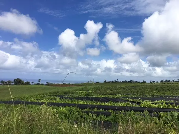 Papaikou, HI 96781,ONOHI LOOP