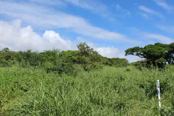 Punaluu Road, Pahala, HI 96777