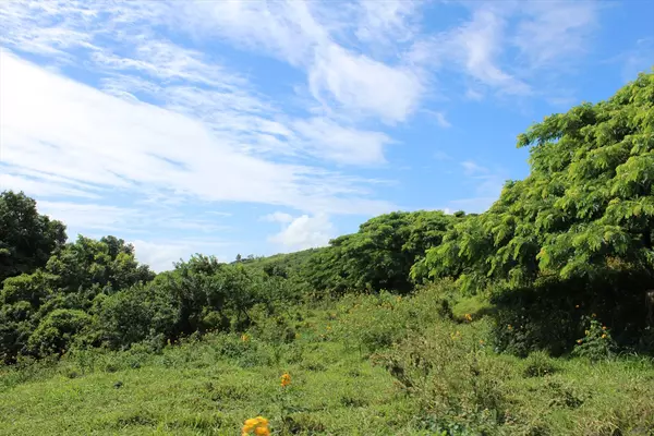 Pahala, HI 96777,Punalu'u Road