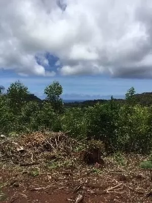 Lawai, HI 96765,3657 'ILIMA PL #1