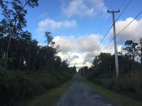 11-2013 OHIALANI ROAD, Volcano, HI 96785